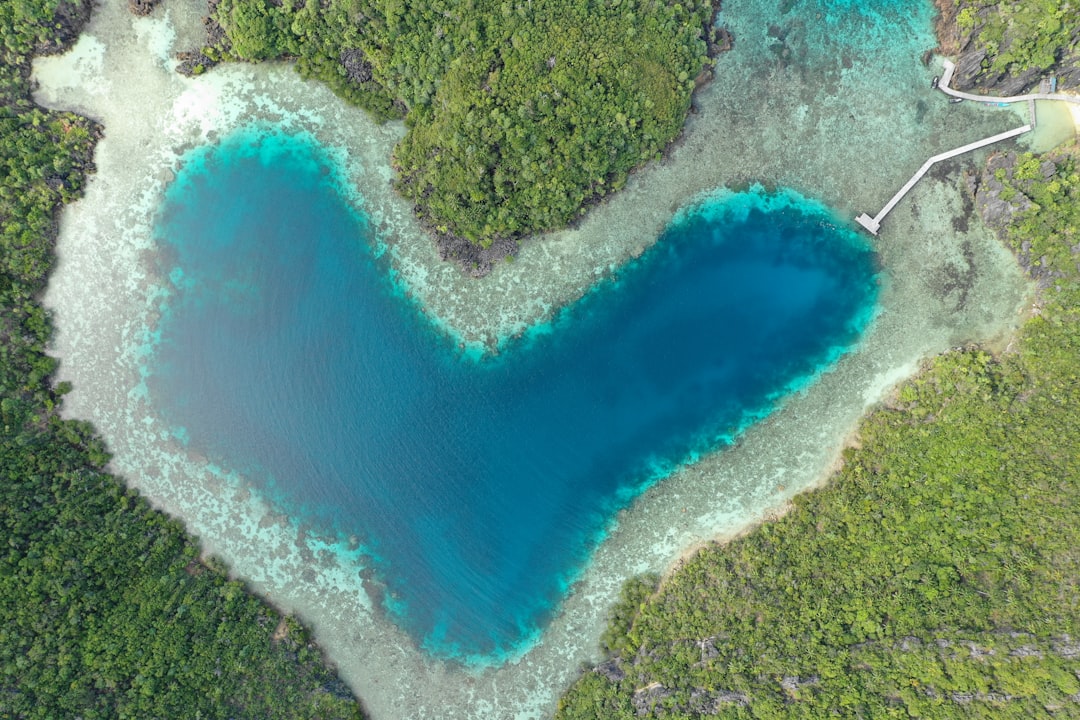 an aerial view of a heart shaped body of water,