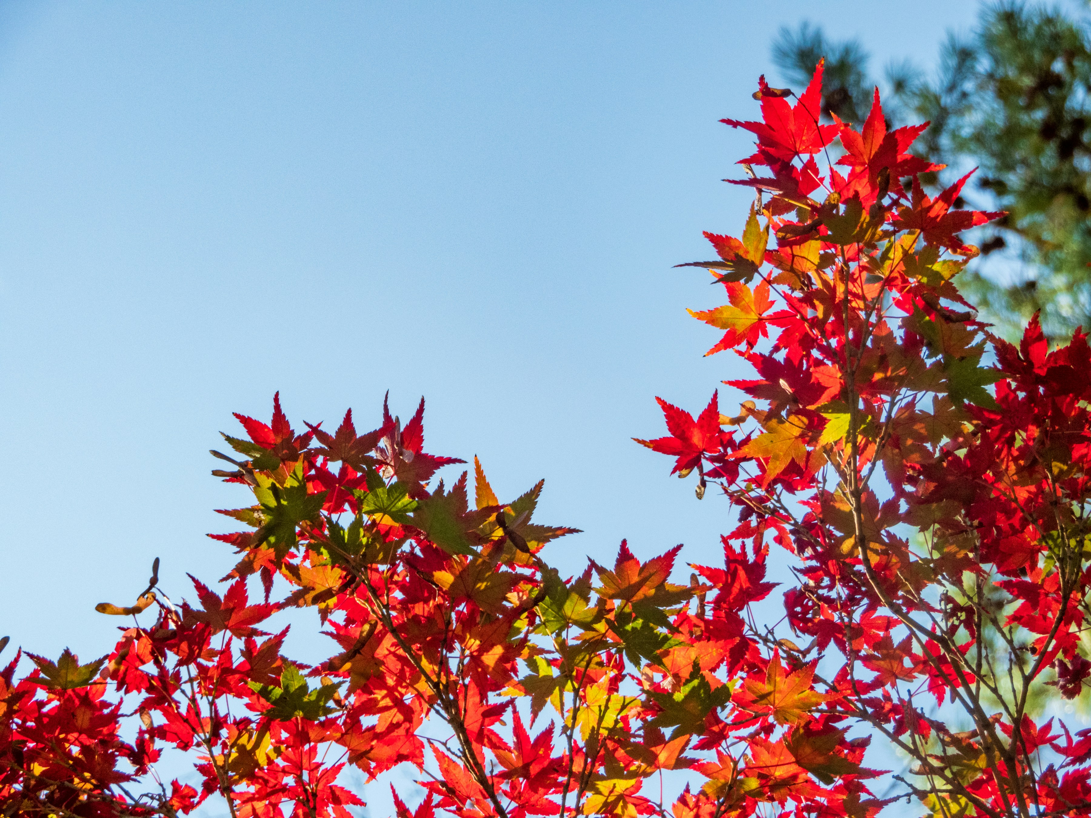 Photo by heppoko_yama