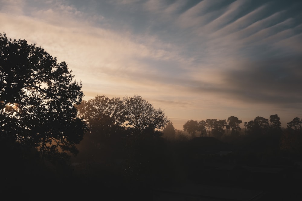 the sun is setting behind some trees