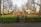 A playground is surrounded by tall, leafless trees and bordered by a low hedge. The playground equipment includes swings, slides, and seesaws. Beyond the playground are houses with orange tiled roofs, set against a clear sky.