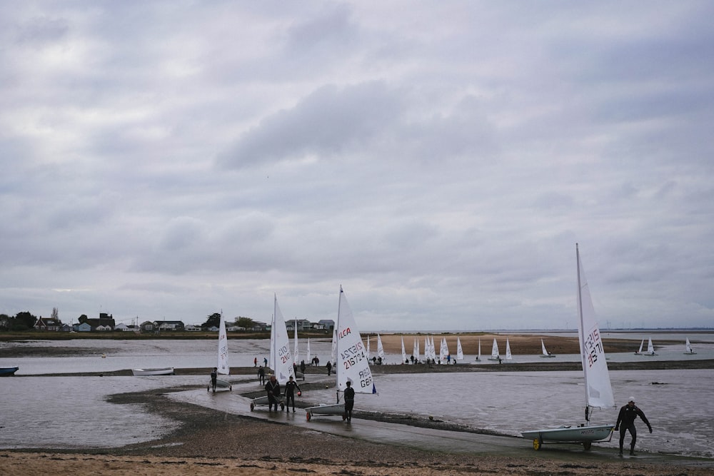 a group of sailboats on a body of water