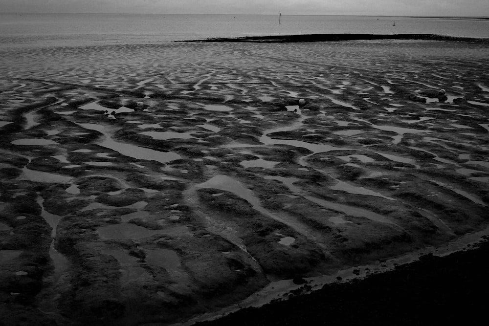 Une photo en noir et blanc d’une plage
