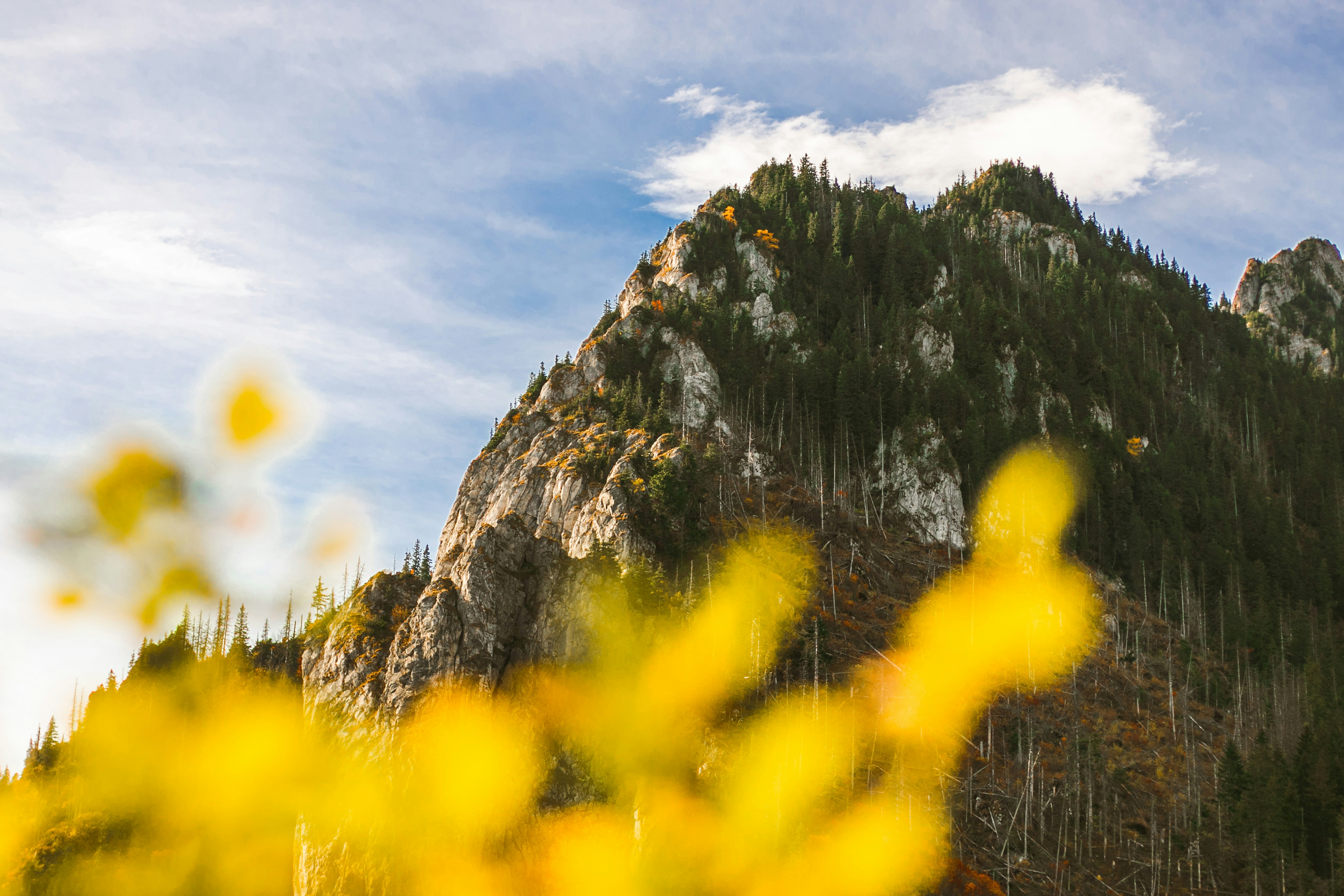 Photo by tomasz_filipek