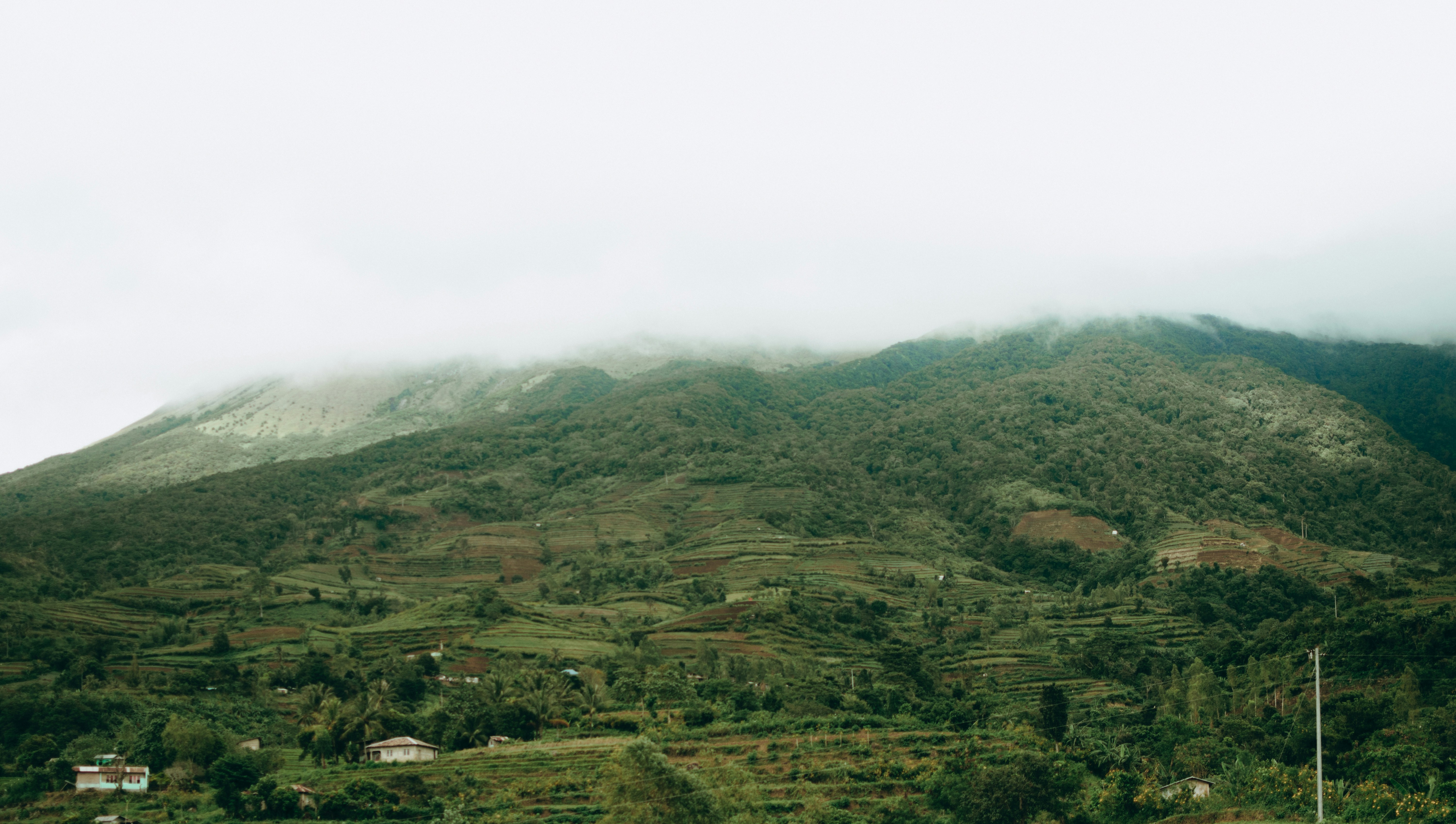 Photo by sbellocillo