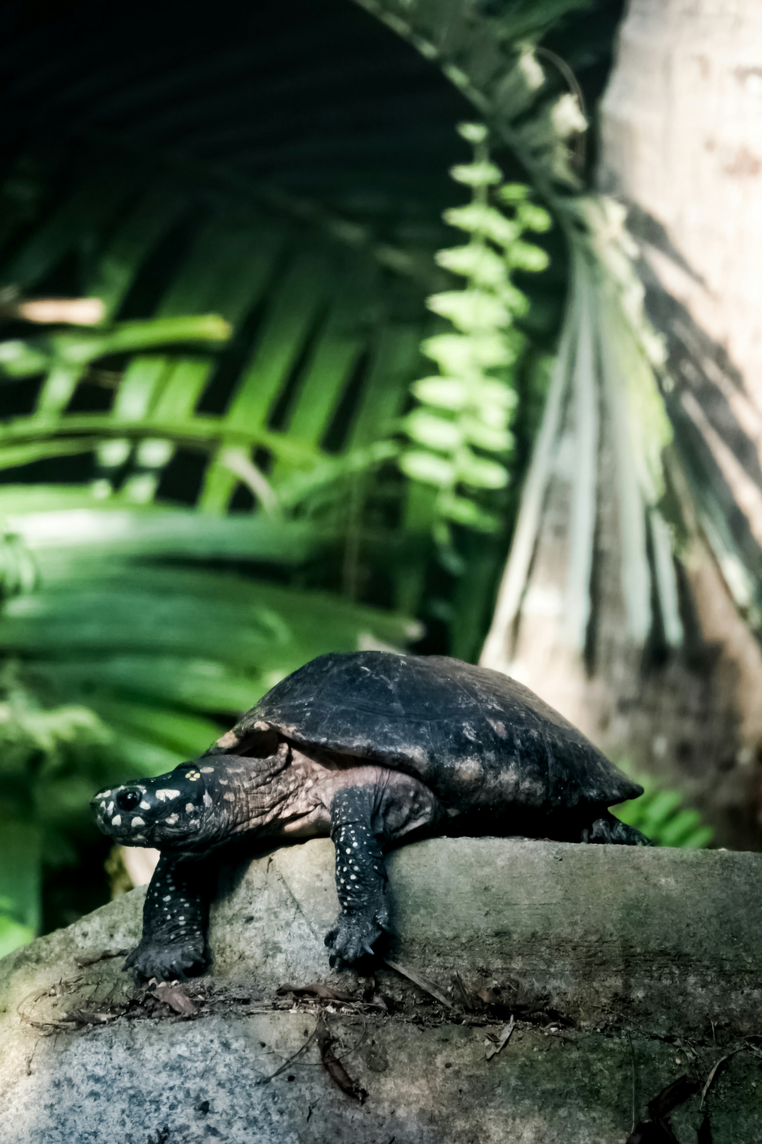 Photo by henrikladewig