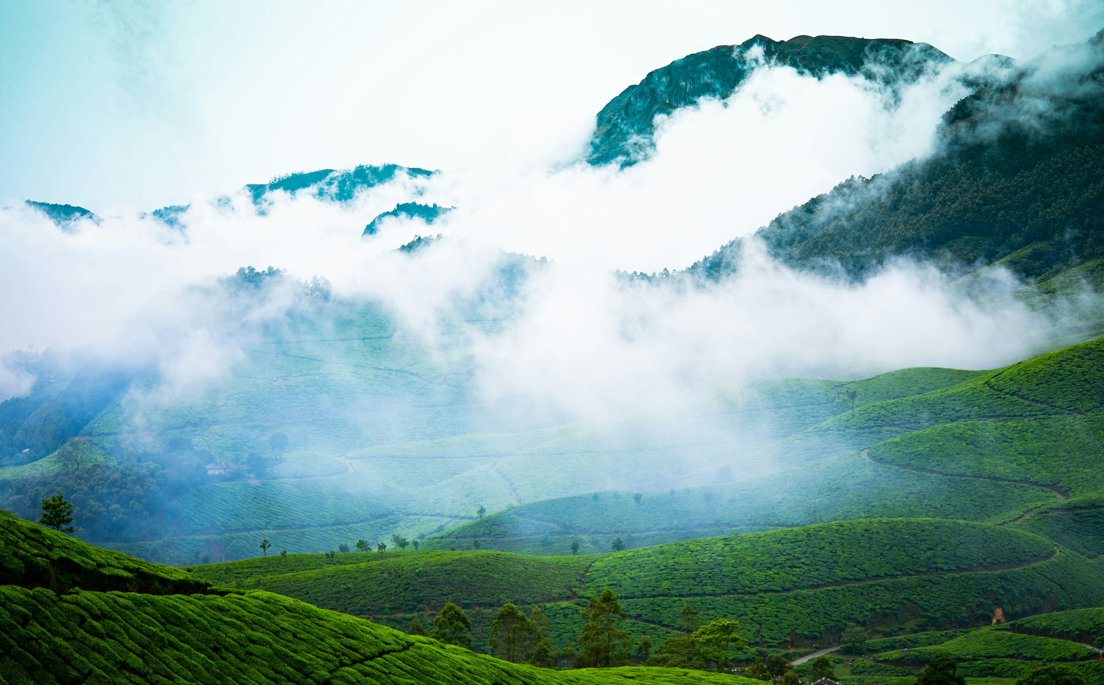 Photo by giginkrishnan