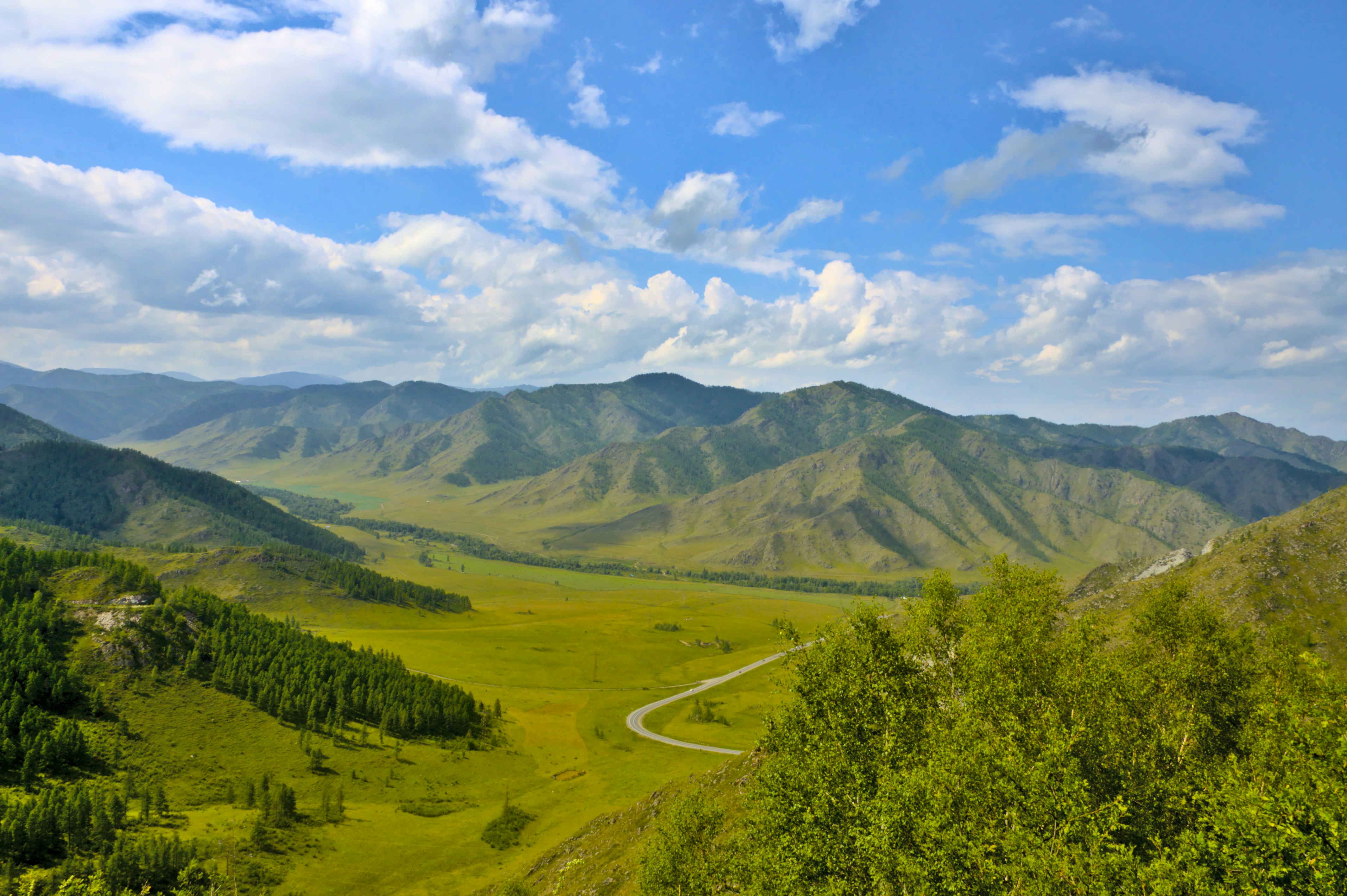 a scenic view of a valley with mountains in the background