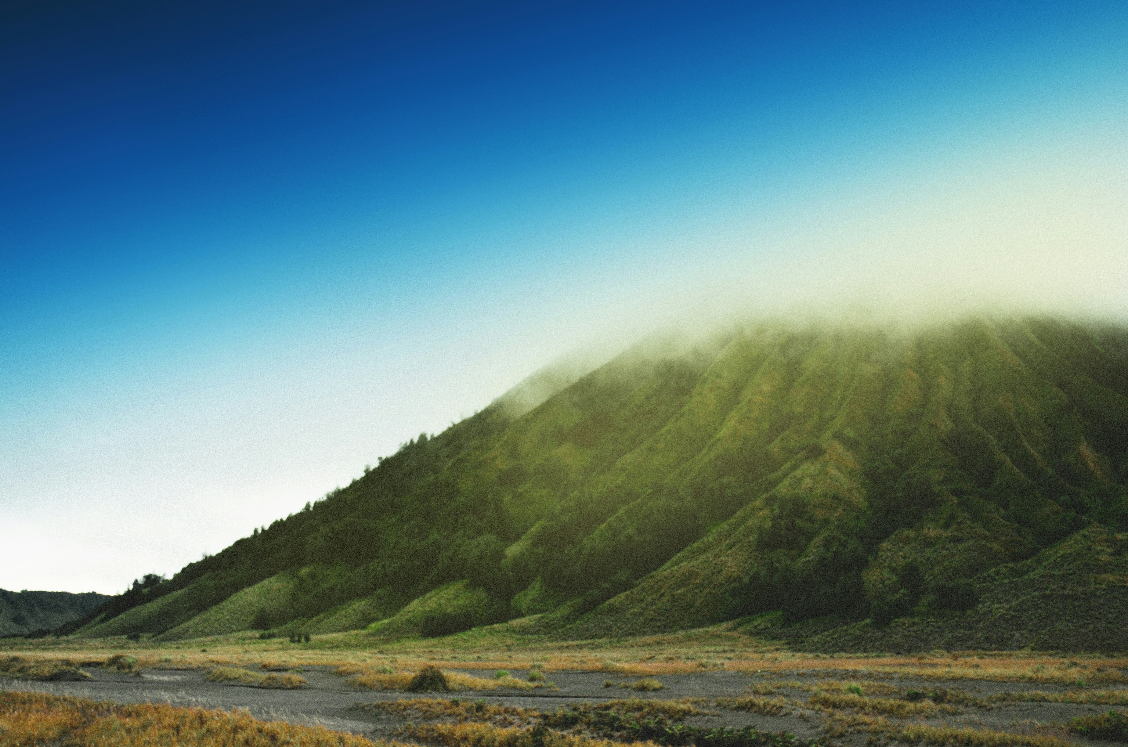 Photo by raganstones