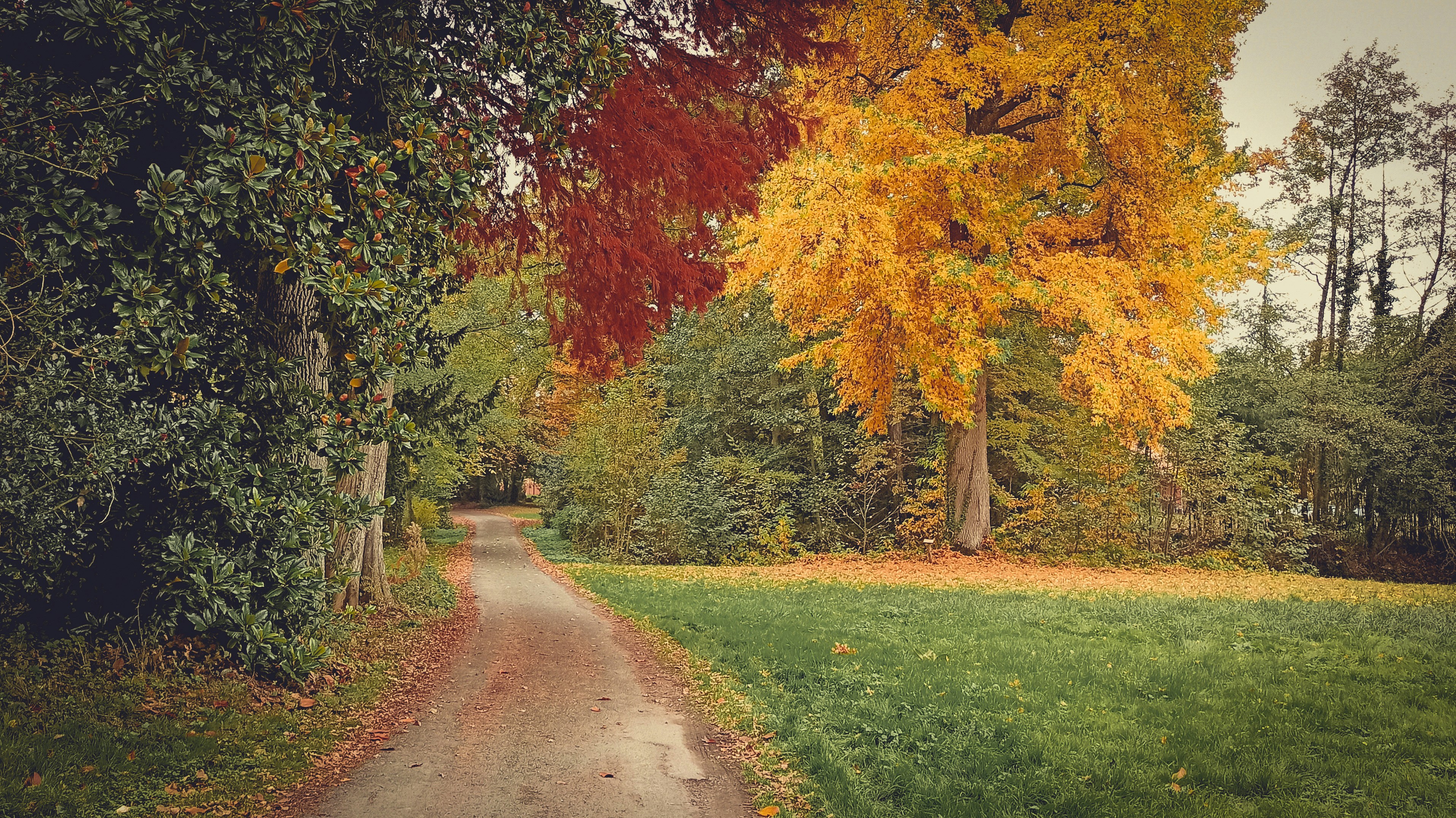 Photo by krisdeschacals