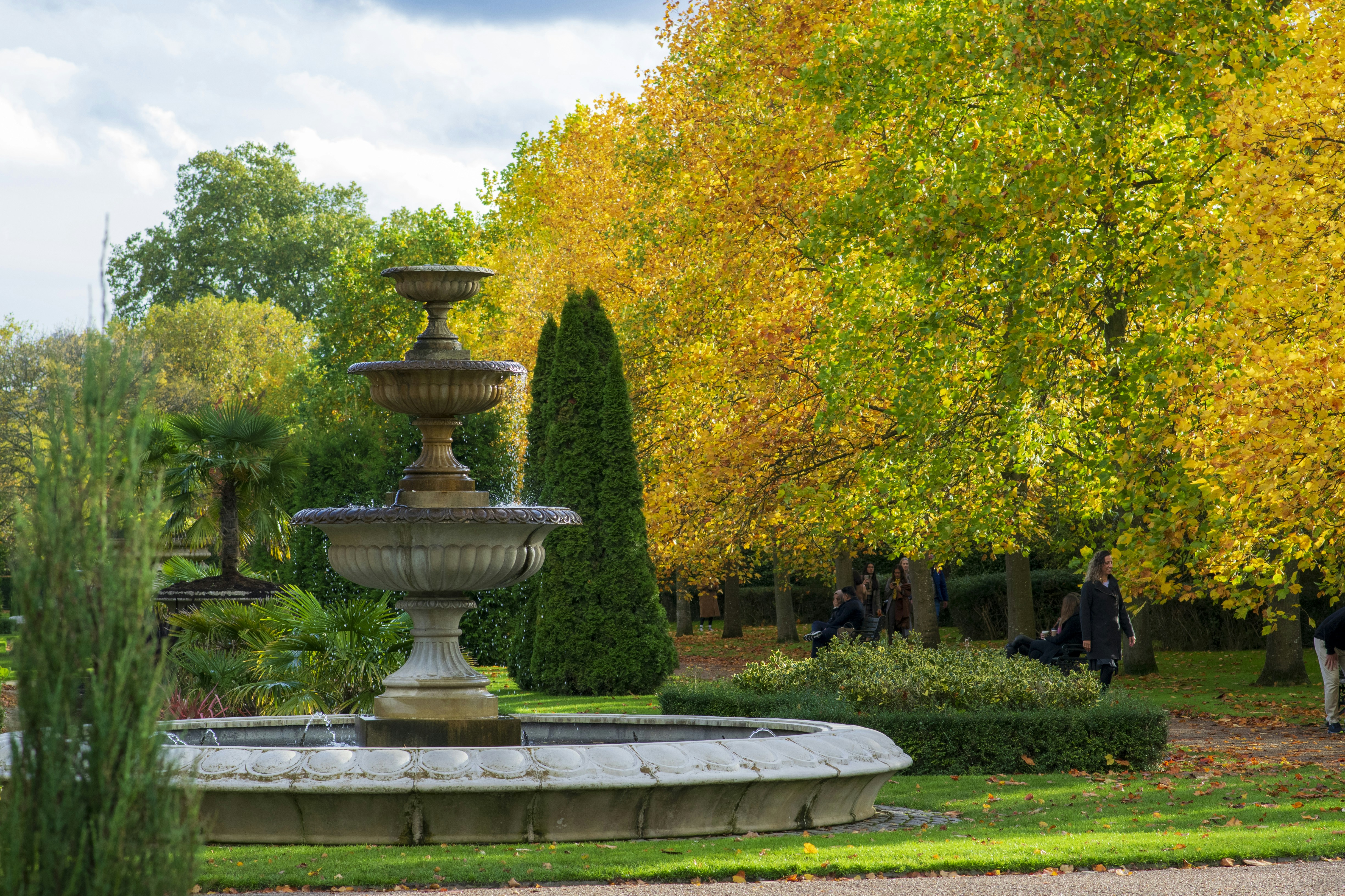 a fountain in a park surrounded by trees