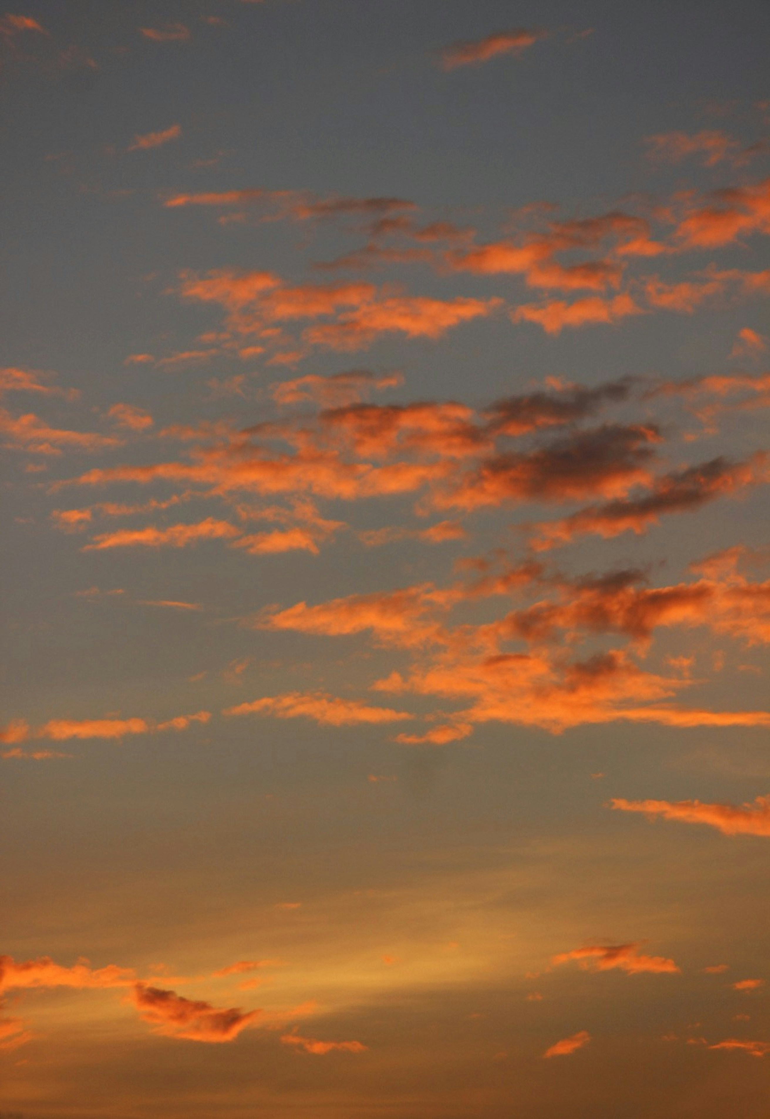 Photo by joylynn_goh