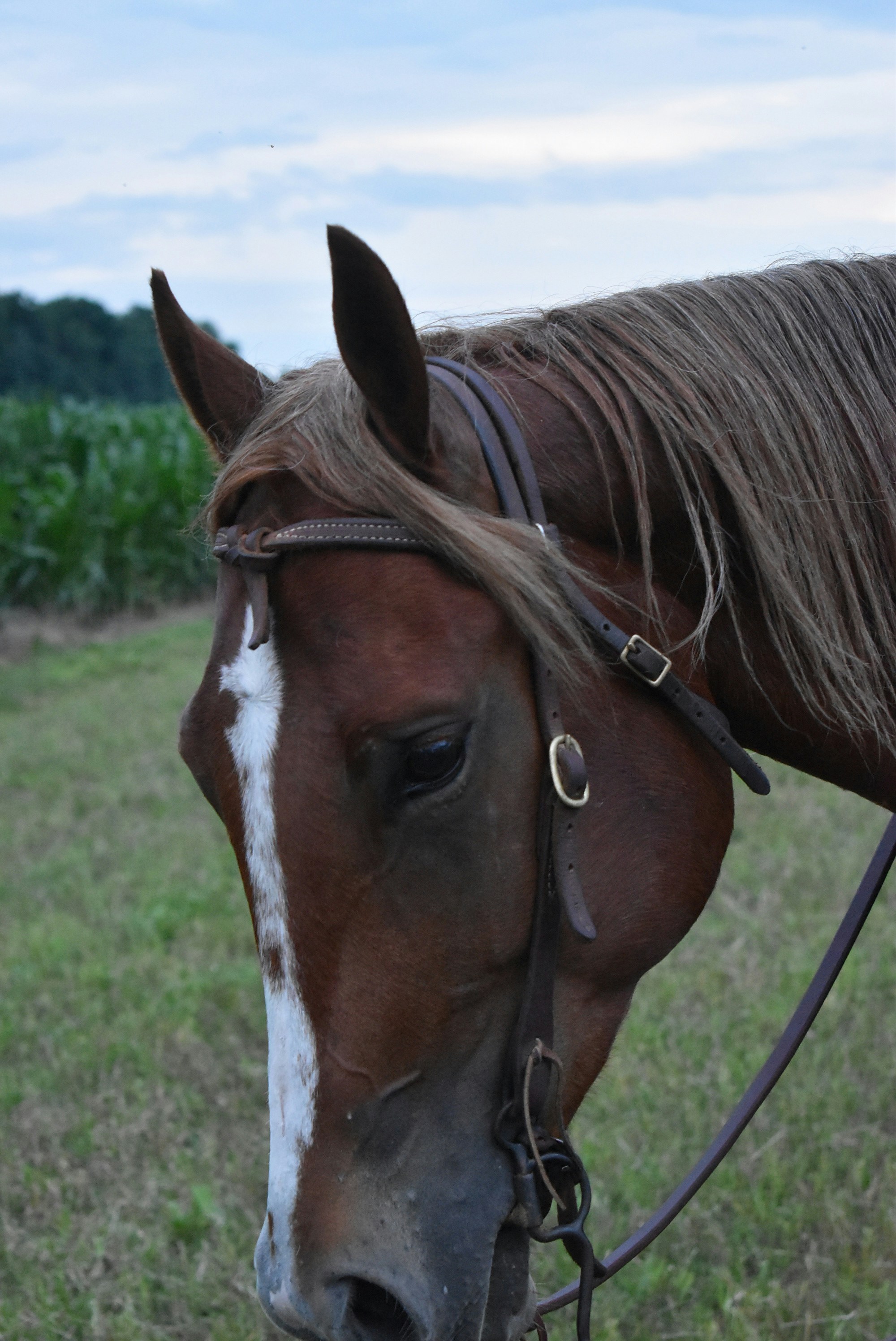 Photo by marie_martin1