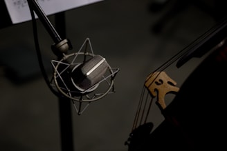 a close up of a microphone and a guitar