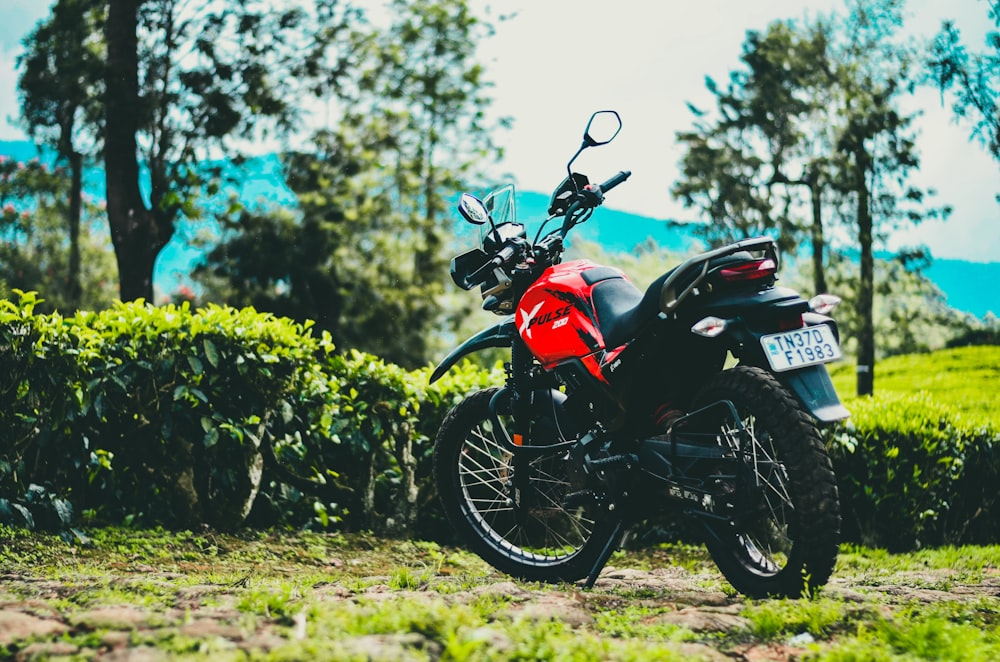 Une moto rouge et noire garée dans l’herbe