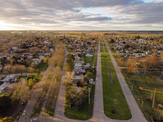 an aerial view of a small town with lots of trees