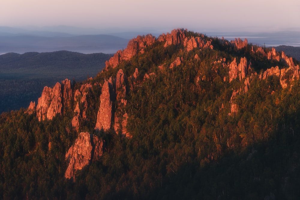 a very tall mountain with a lot of trees on top of it