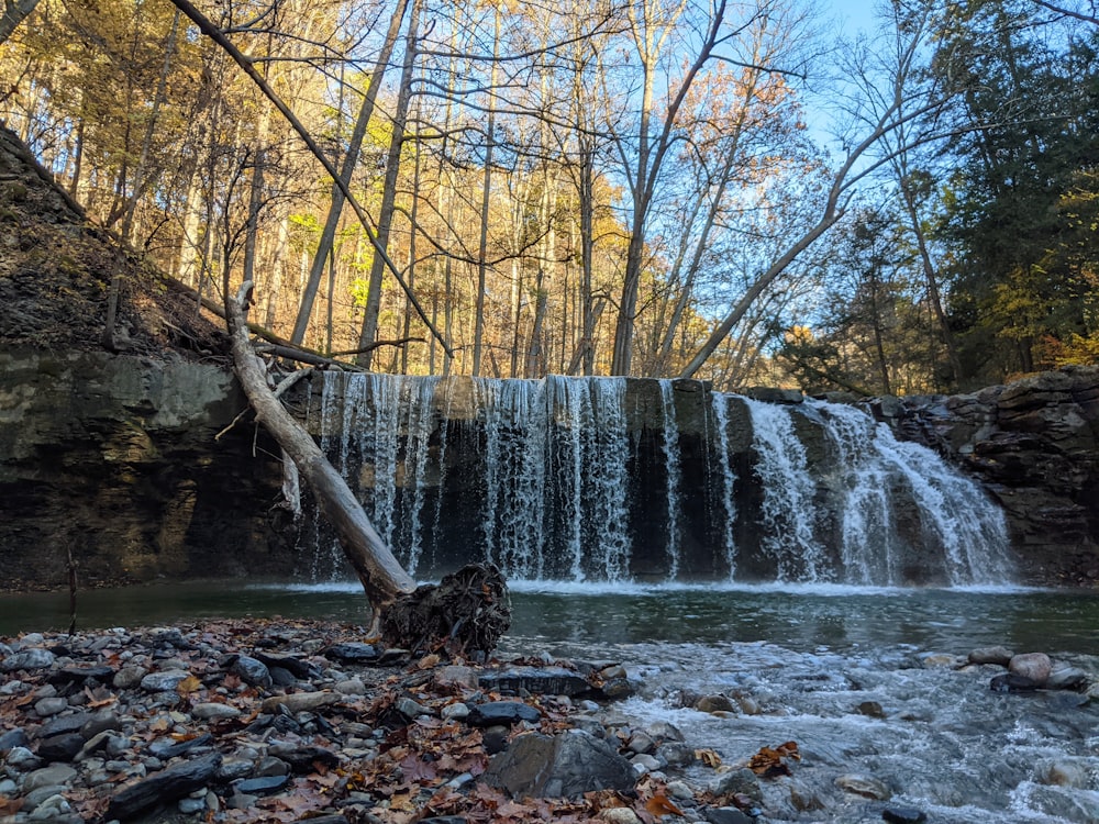 a waterfall with a fallen tree in the foreground