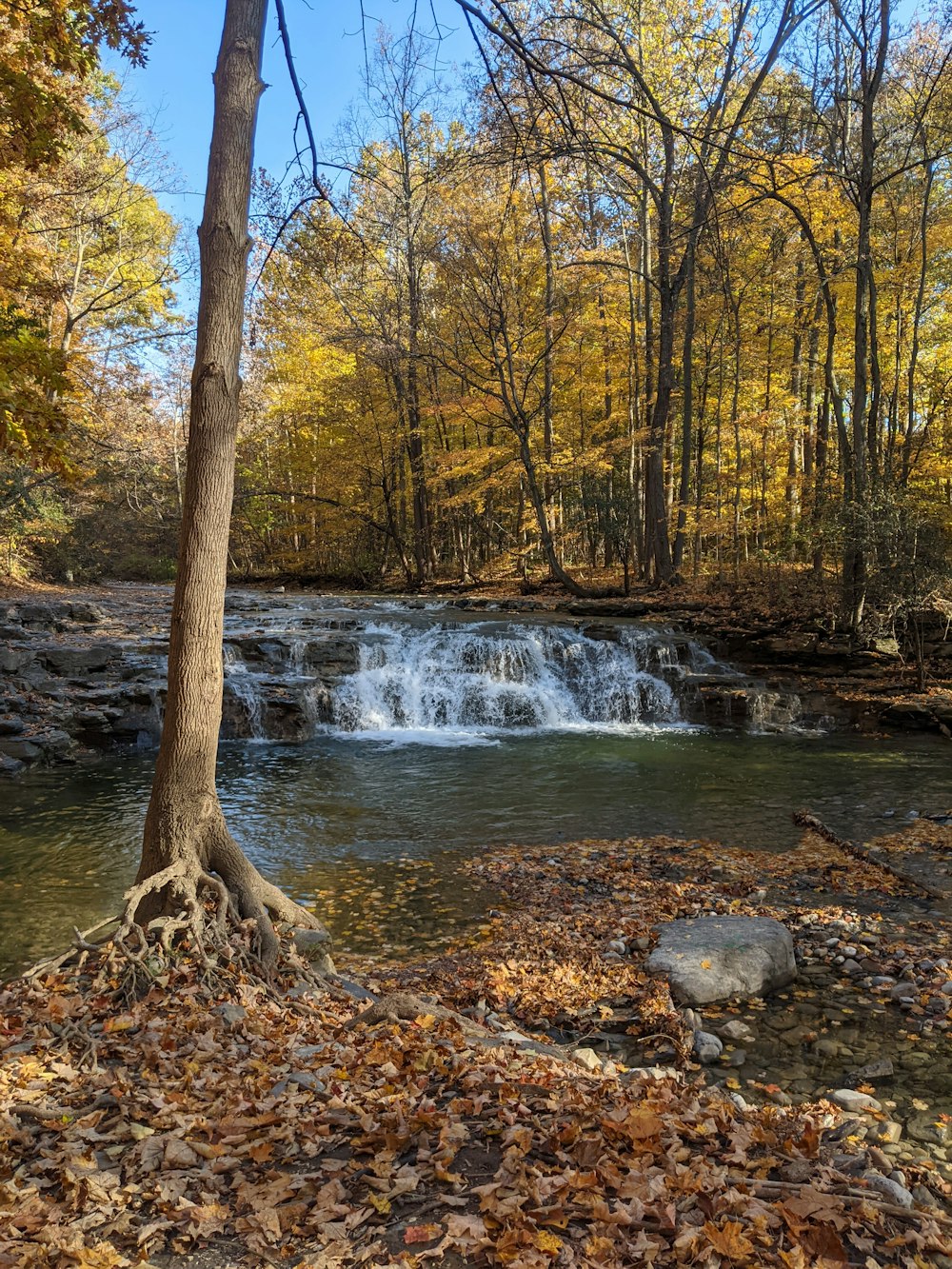 uma pequena cachoeira no meio de uma floresta