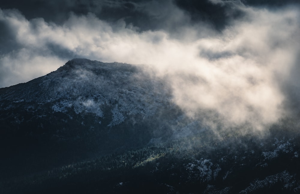 a mountain covered in clouds with a bird flying over it