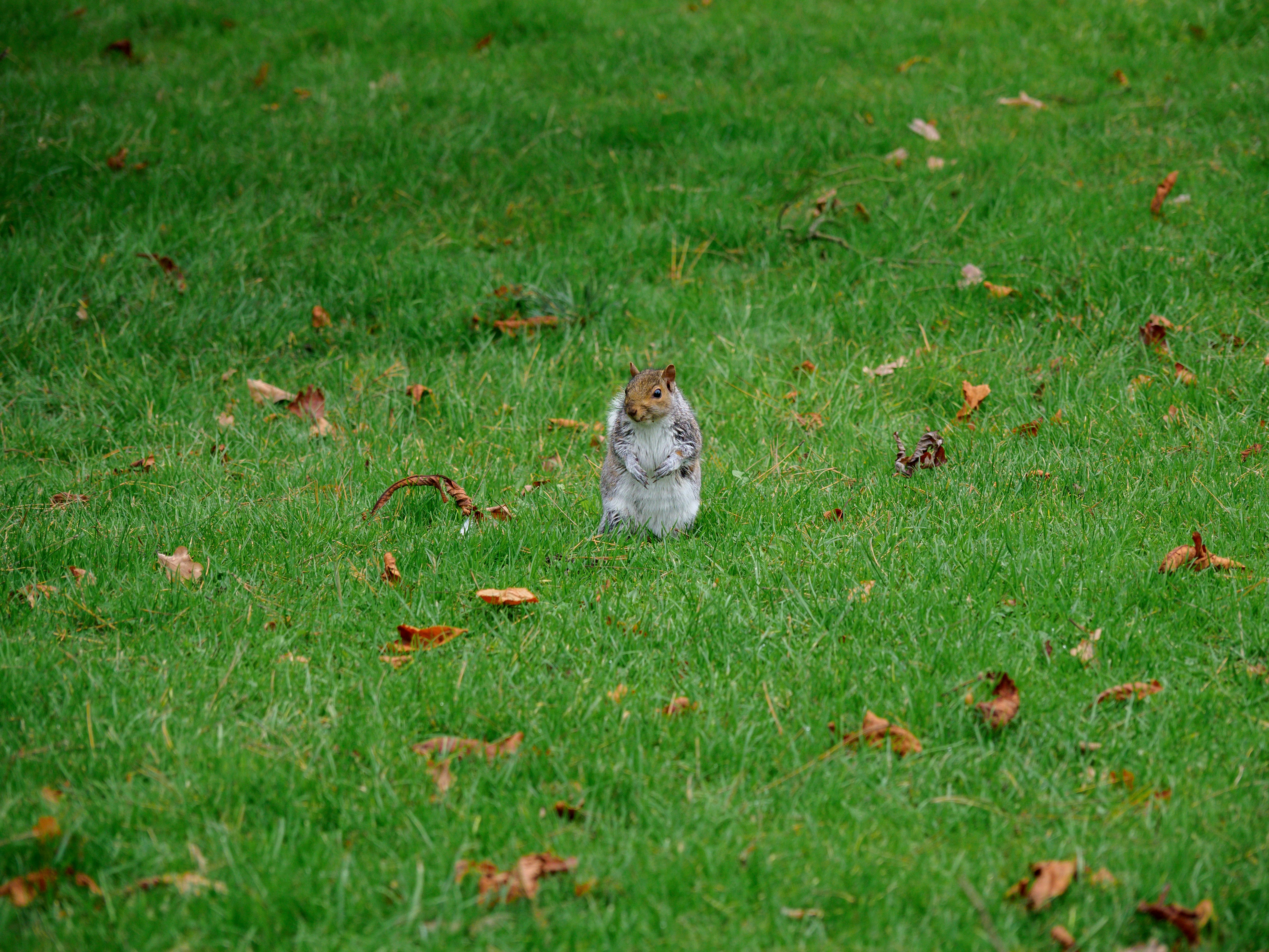 Photo by brett_jordan