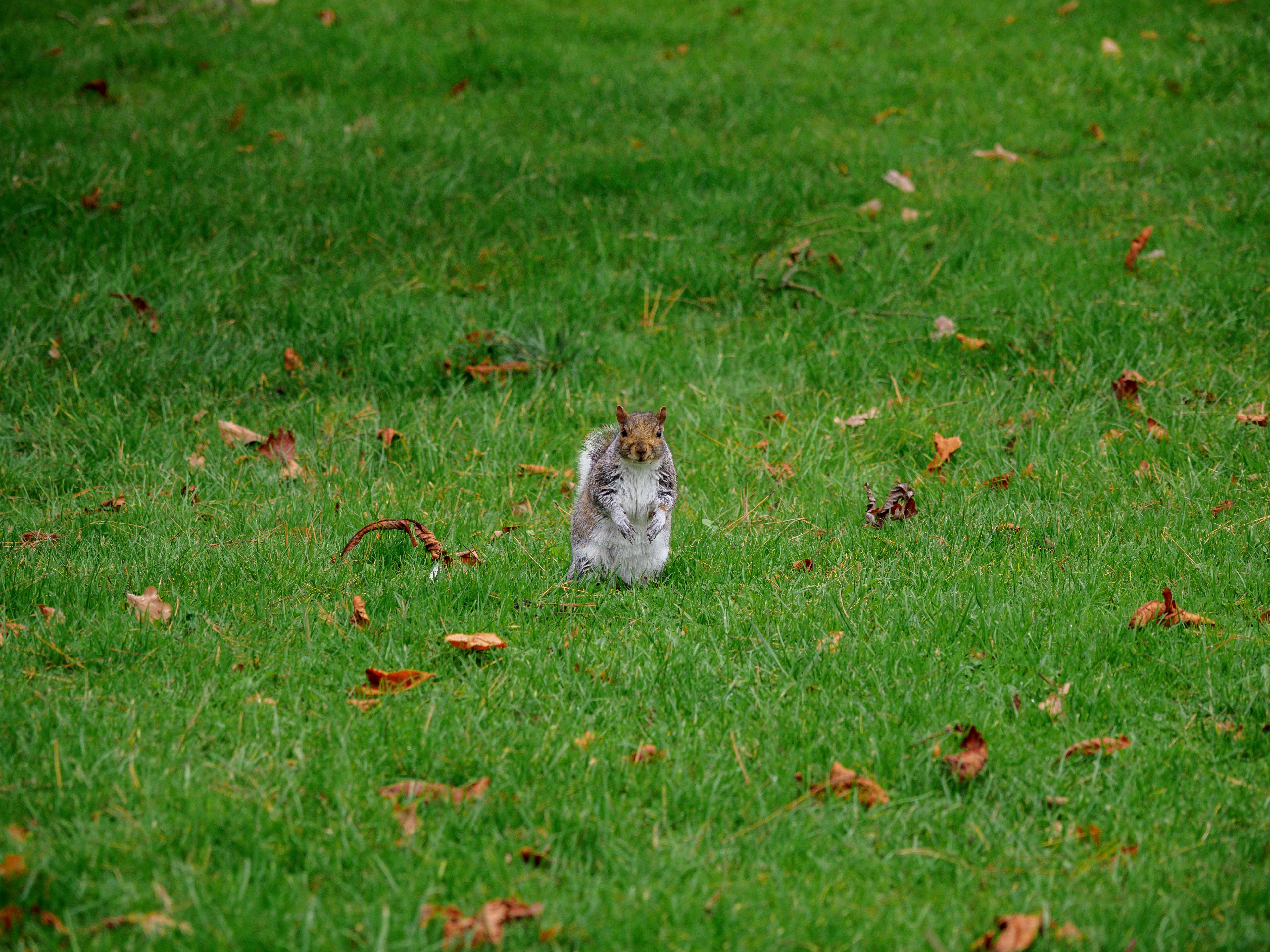 Photo by brett_jordan