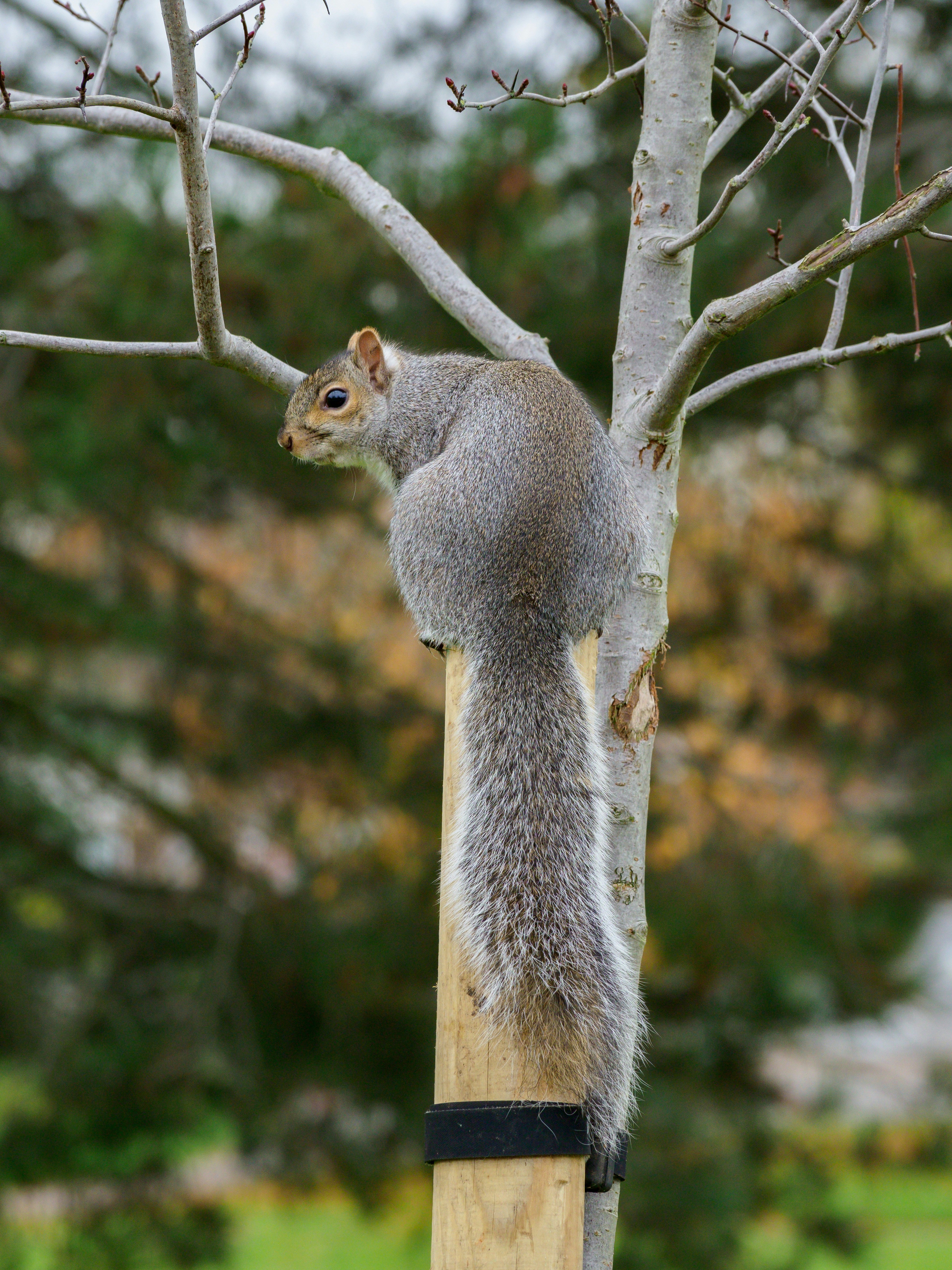 Photo by brett_jordan