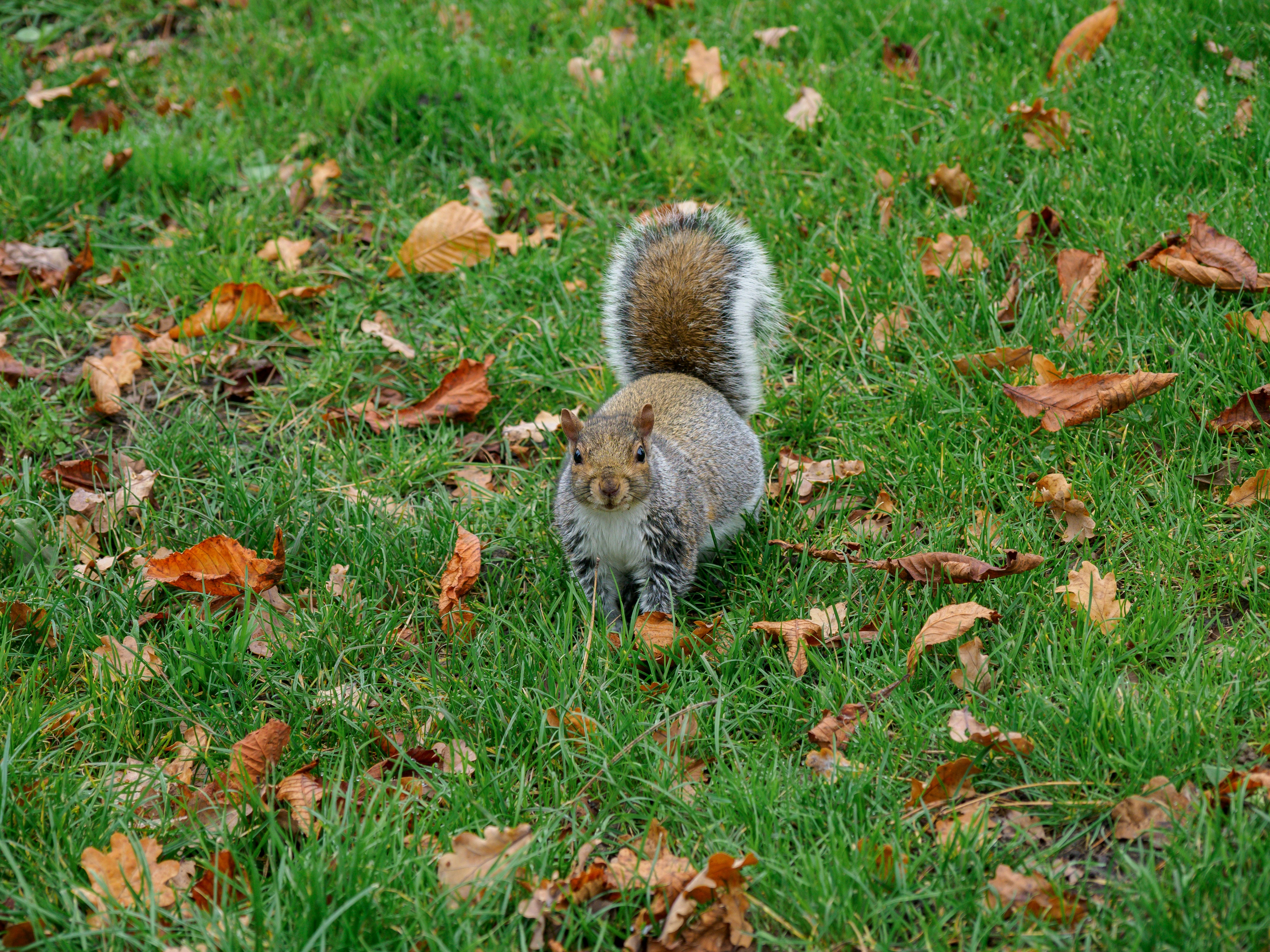 Photo by brett_jordan