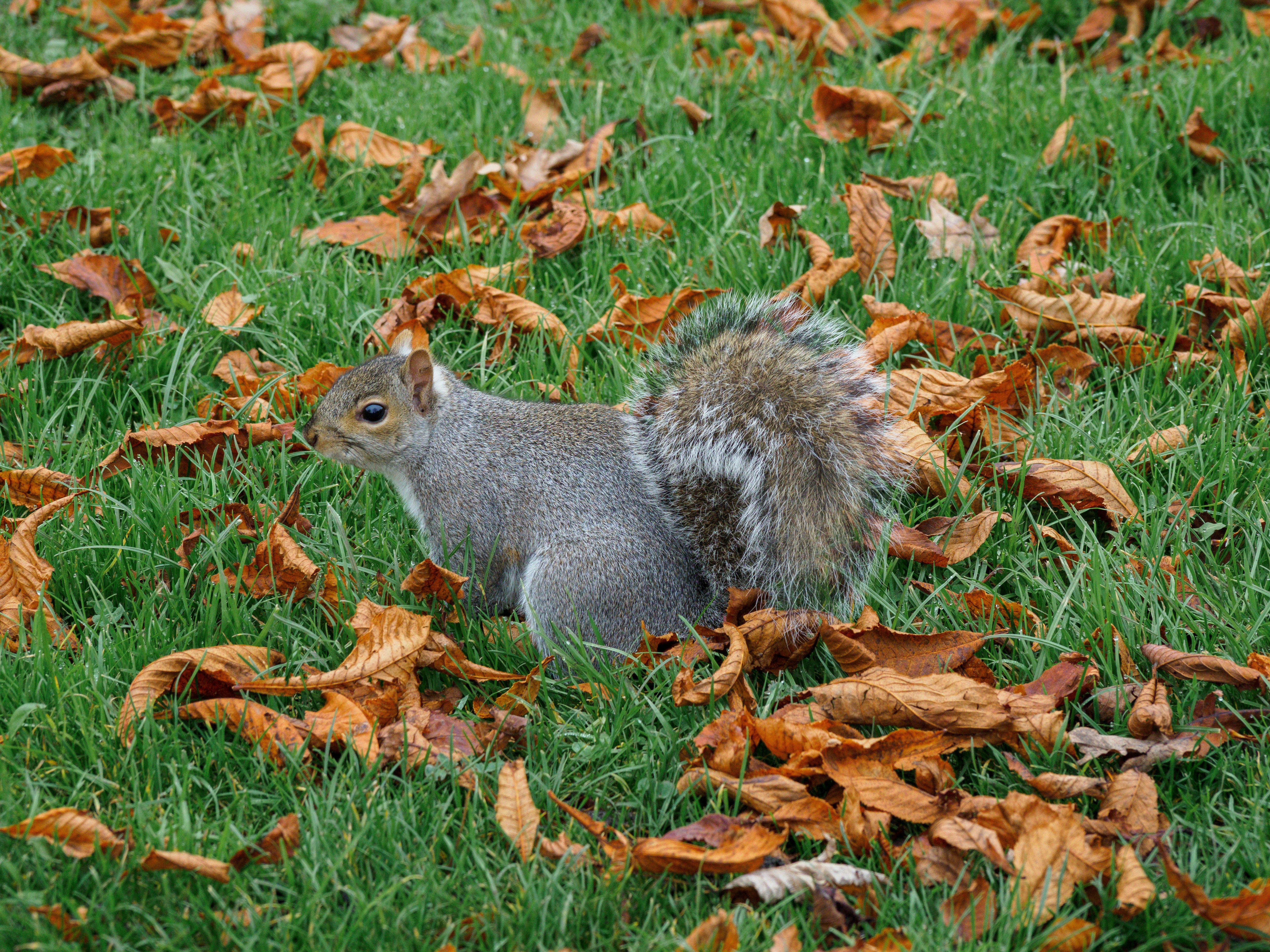 Photo by brett_jordan