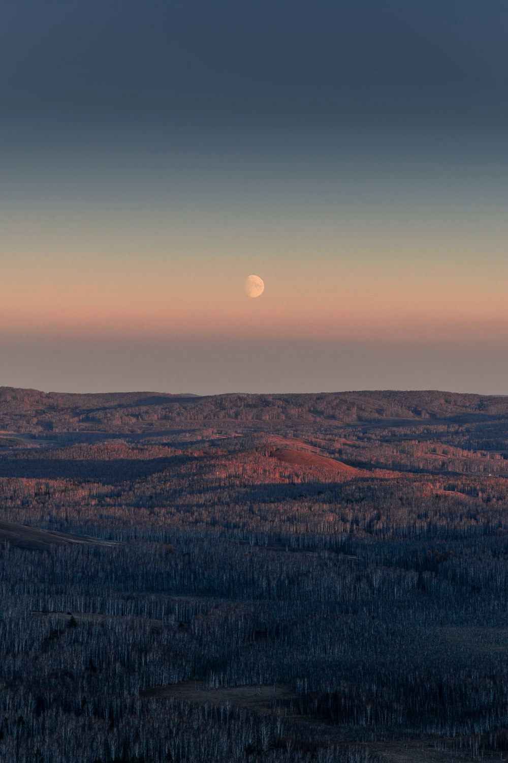 a full moon is seen in the distance over a landscape