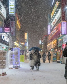 a group of people walking down a snow covered street