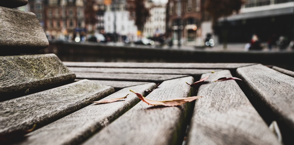 a close up of a wooden bench with a leaf on it