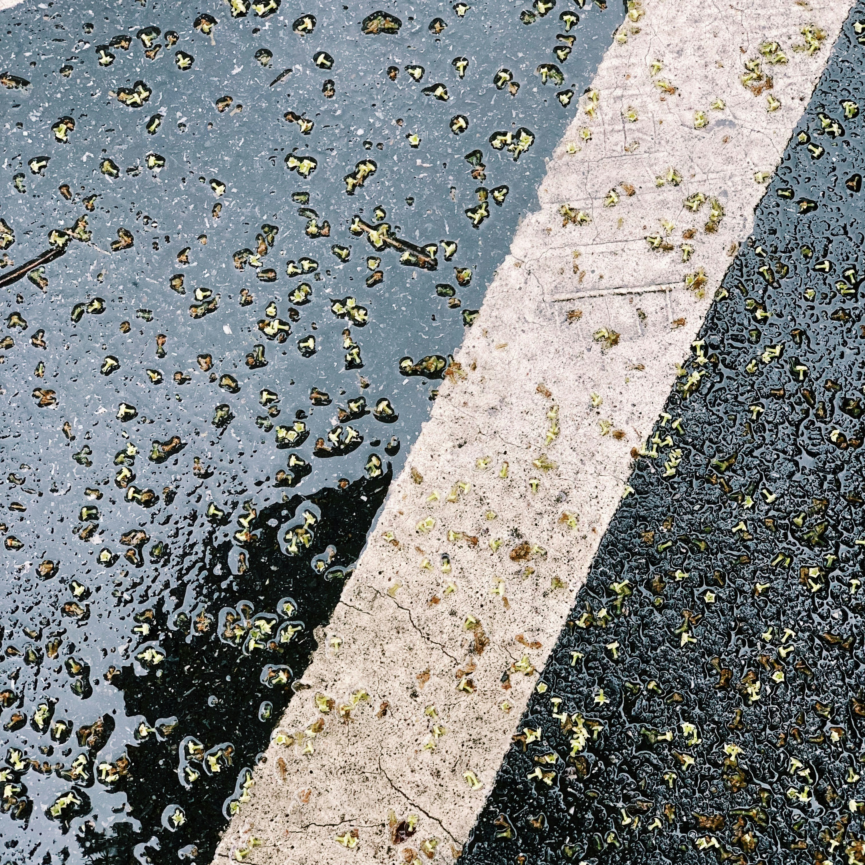 Recubrimientos Asepticos y Acabados