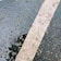 A wet asphalt surface is covered with small green leaves or plant debris. A wide white painted line runs diagonally across the textured and shiny surface.