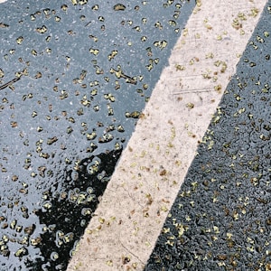 A wet asphalt surface is covered with small green leaves or plant debris. A wide white painted line runs diagonally across the textured and shiny surface.