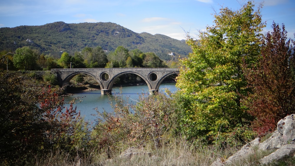 a bridge over a river with a mountain in the background