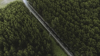 Aerial view of a newly paved section of the Transamazônica highway cutting through lush Amazon forest.