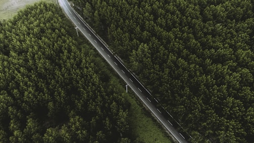 Aerial view of a newly paved stretch of the Transamazônica highway cutting through lush Amazon forest.