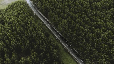 Aerial view of a newly paved section of the Transamazônica highway cutting through lush Amazon forest.