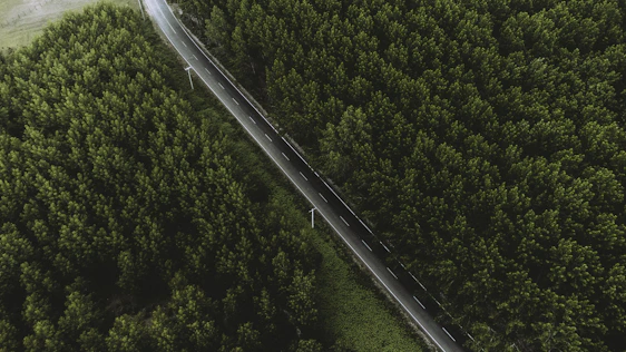 Aerial view of a newly paved stretch of the Transamazon highway cutting through lush Amazon rainforest.