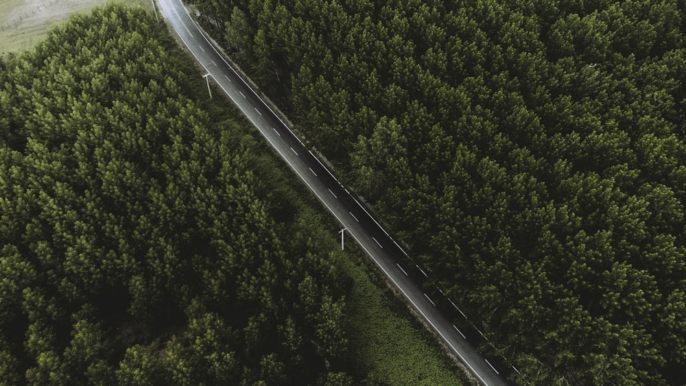 an aerial view of a road in the middle of a forest