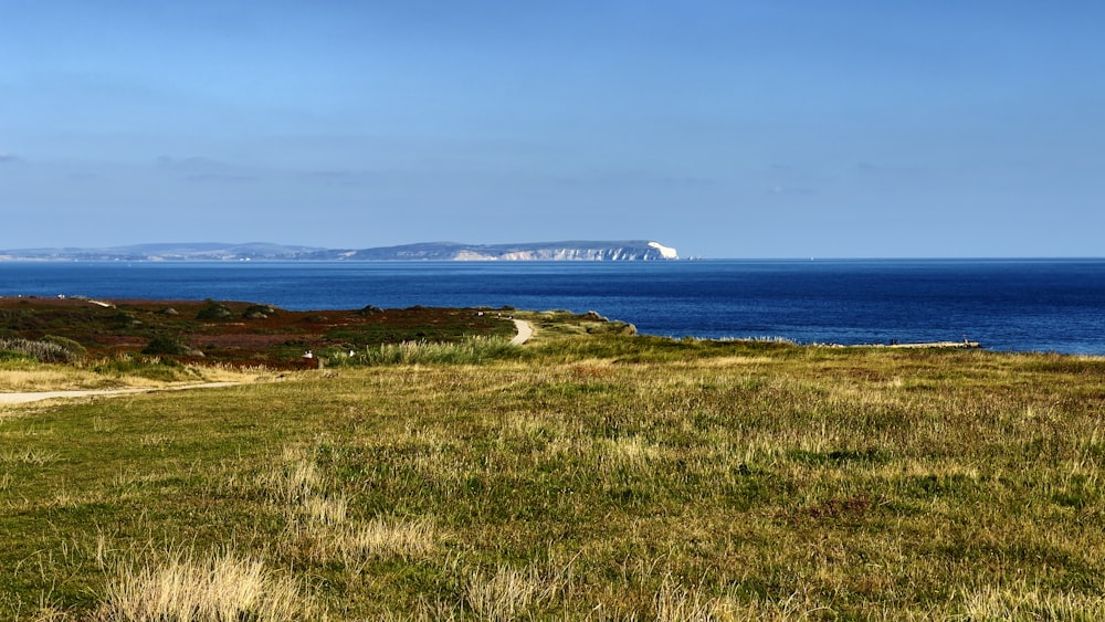 a view of the ocean from a grassy hill