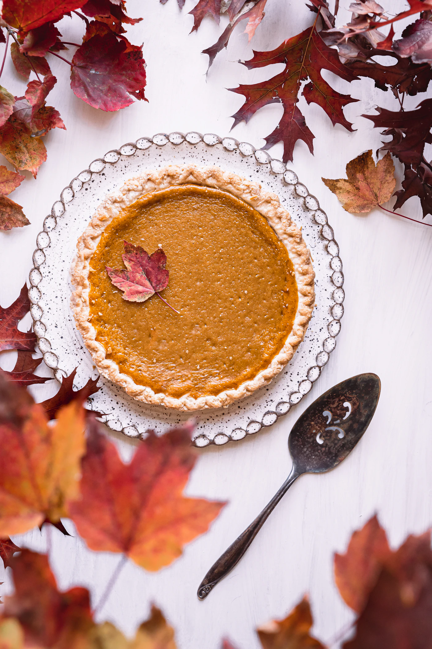 Pumpkin pie