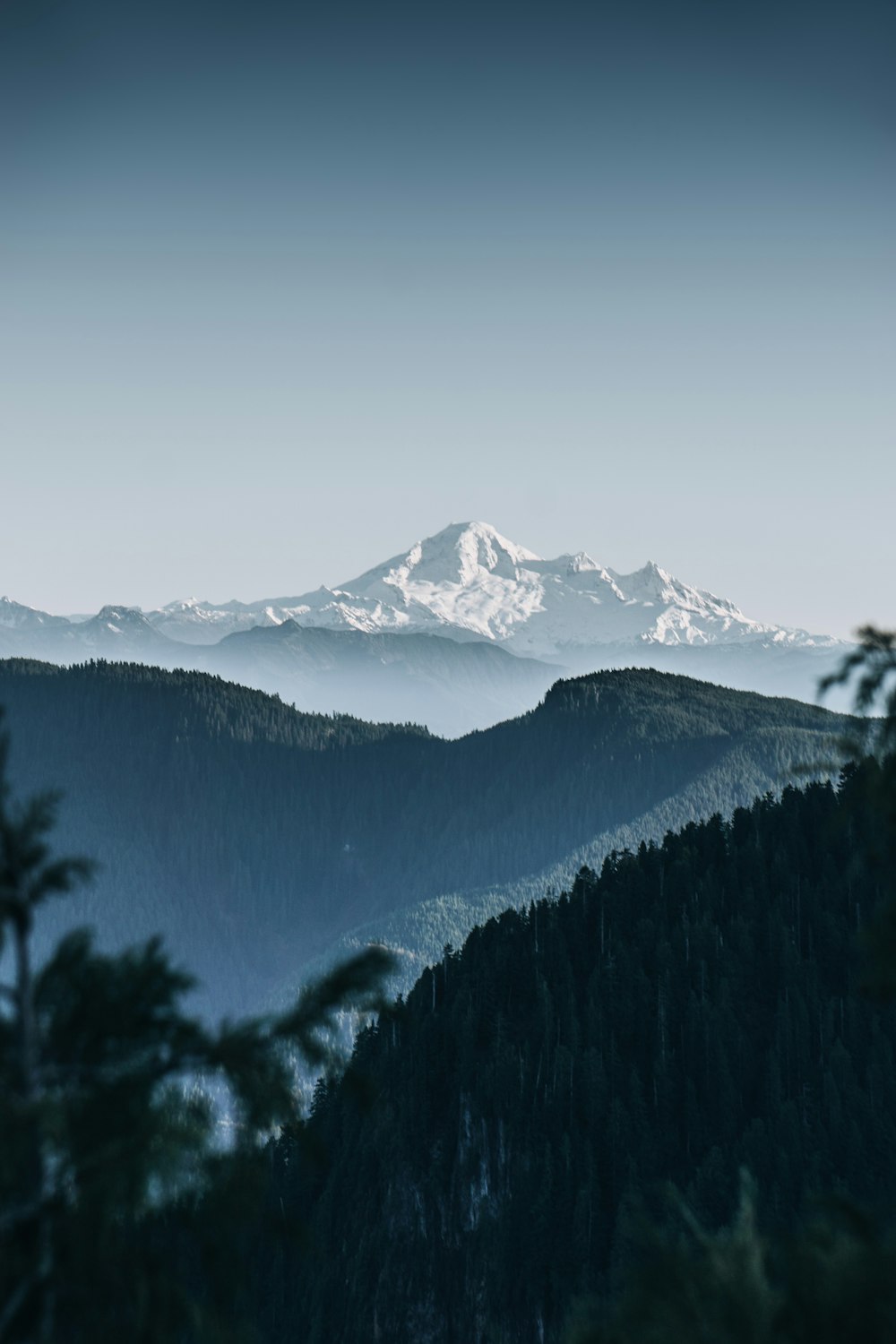 a view of a mountain range with trees in the foreground