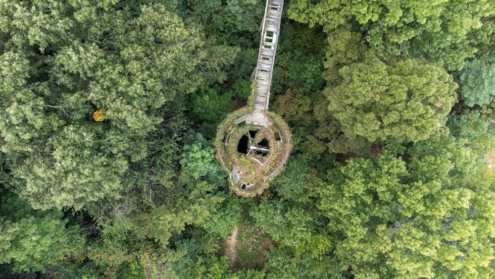 a tower in the middle of a forest