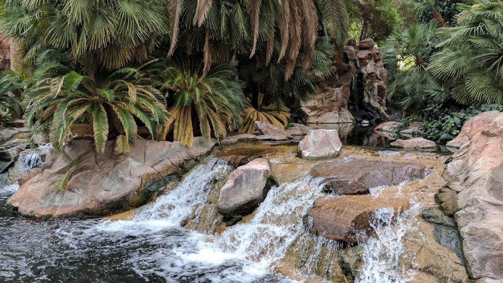 a waterfall in a tropical garden with palm trees