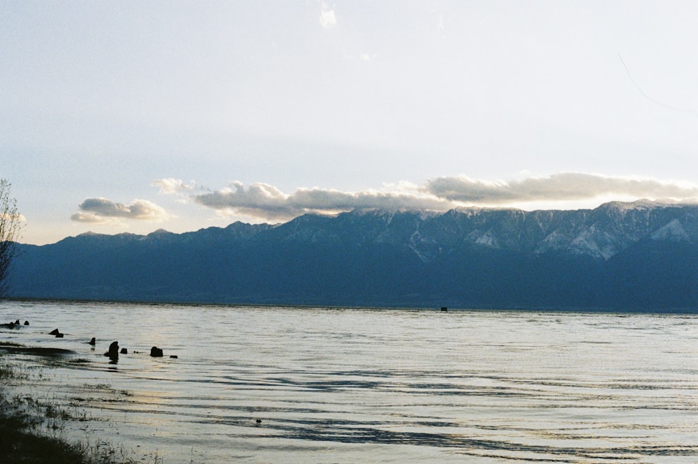 a body of water with mountains in the background