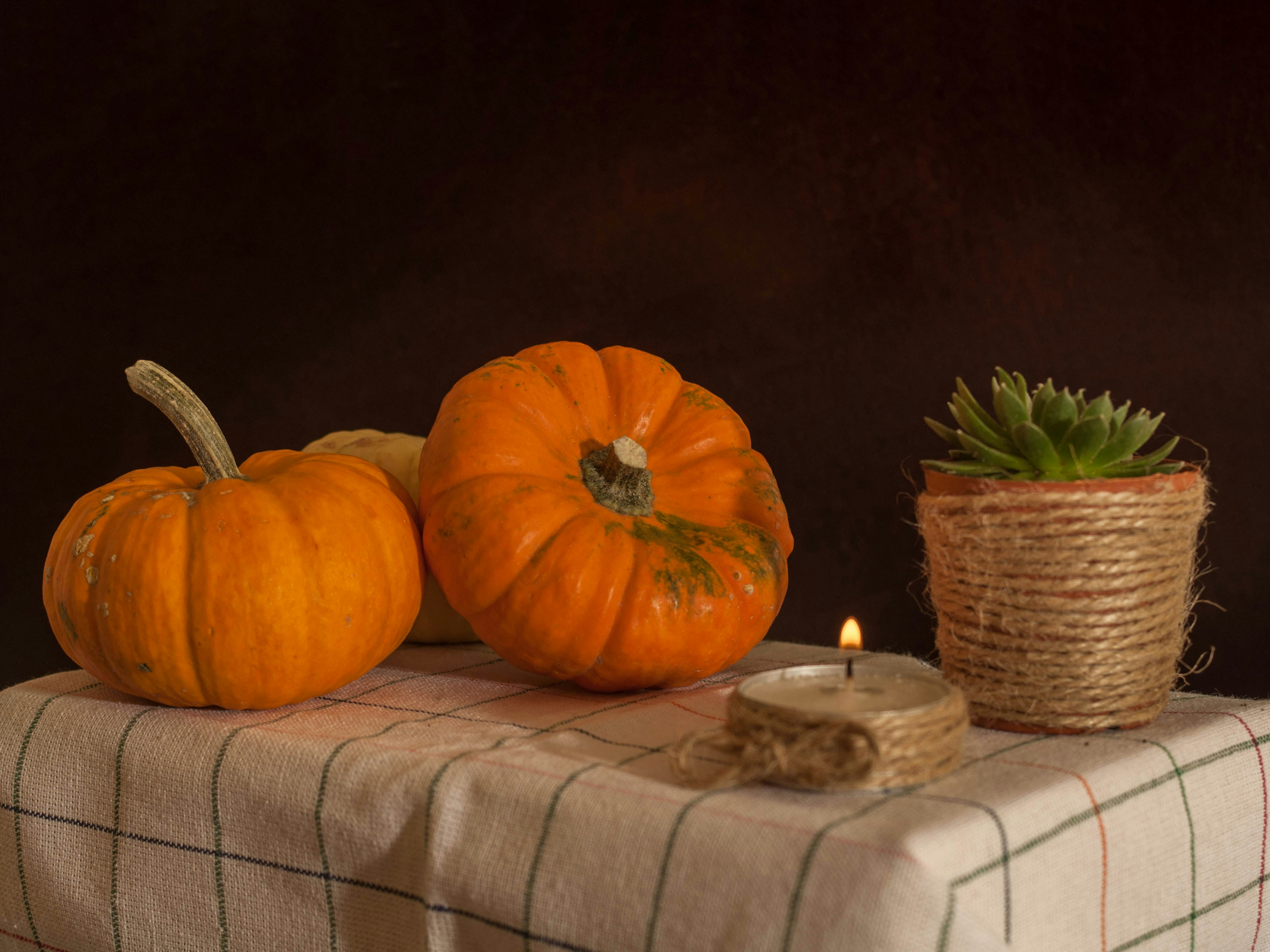 Photo by yigitaliatasoy