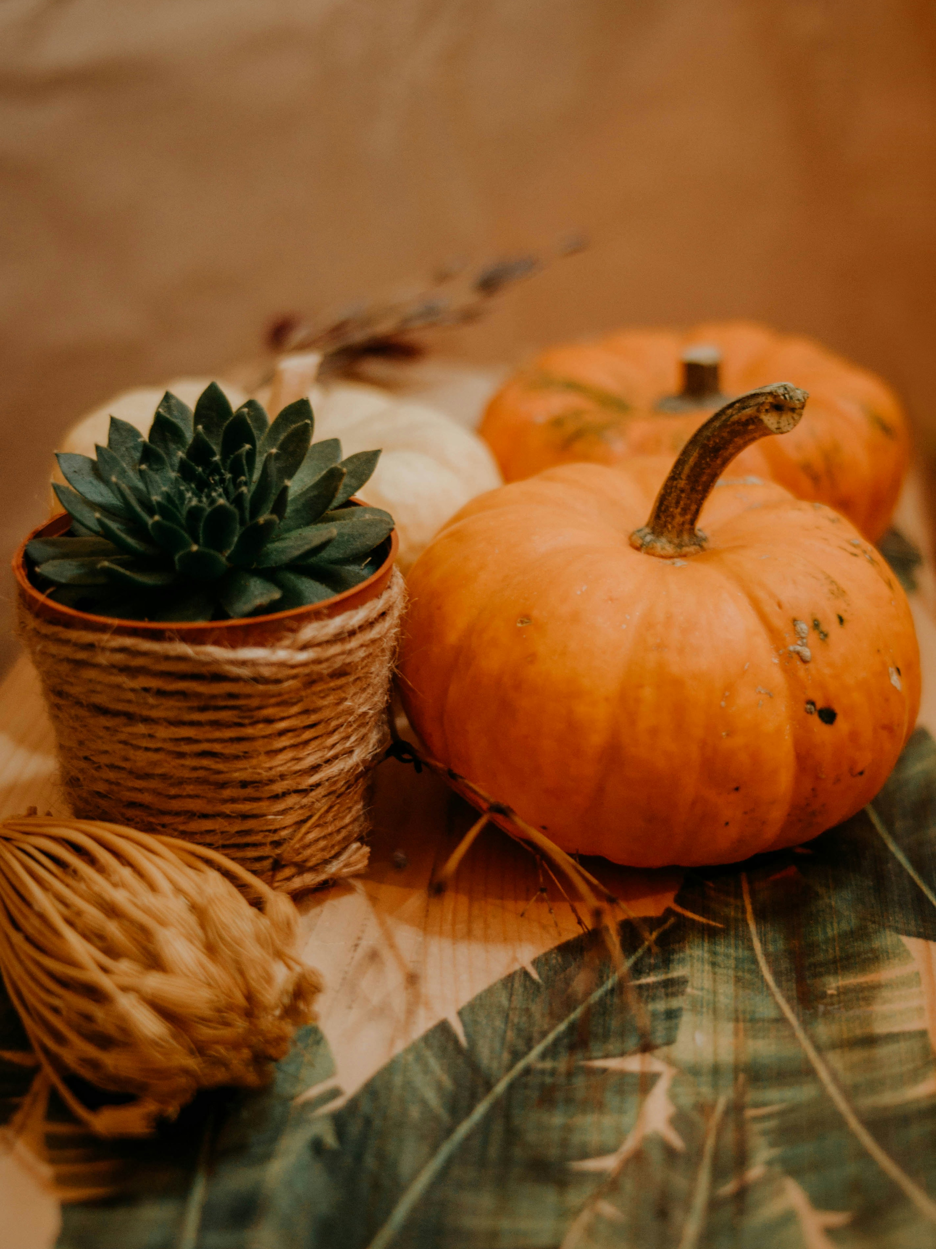 Photo by yigitaliatasoy