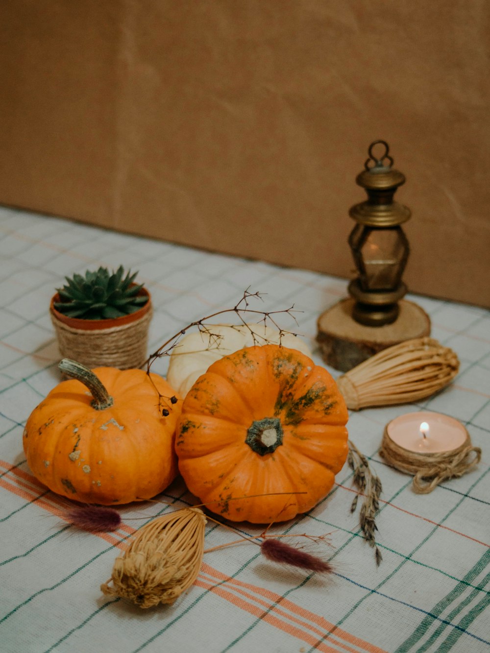 a table topped with lots of different types of pumpkins