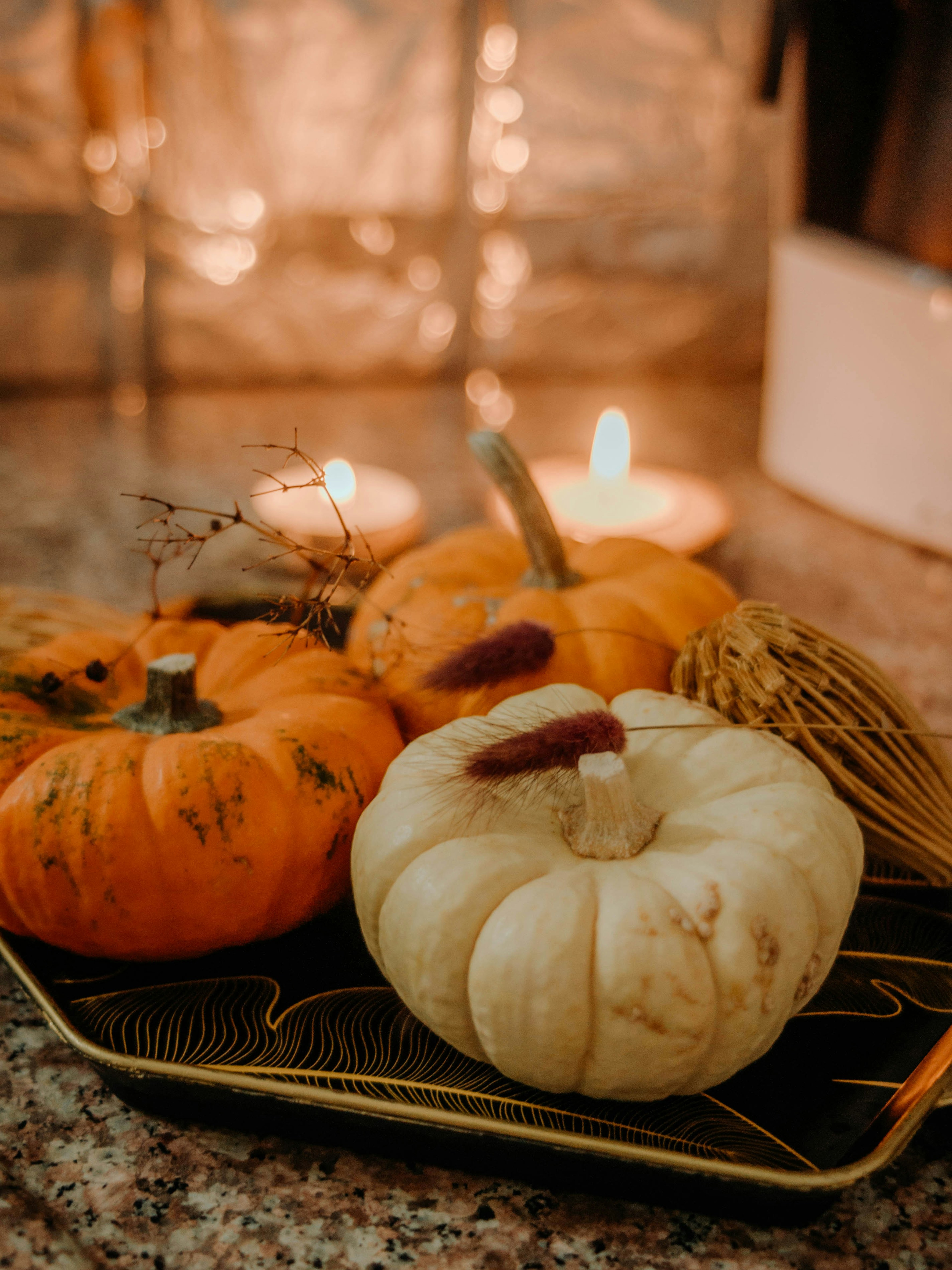 Photo by yigitaliatasoy